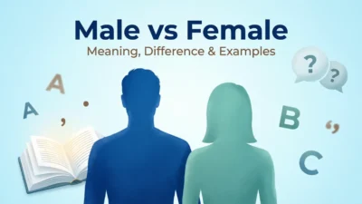 Male or Female