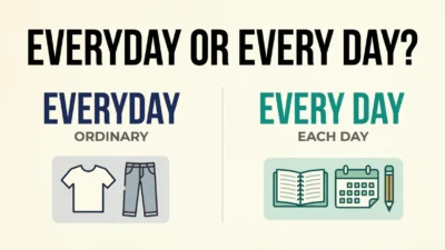 Everyday or Every Day
